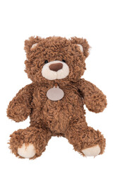 Close-Up of a Cute Brown Teddy Bear,  fluffy vintage plush toy, isolated on white background