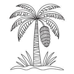 Palm Tree Line Art Illustration with Dates and Green Grass