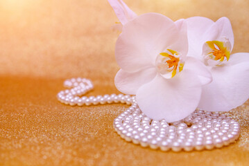 A branch of white orchids on a shiny gold background
