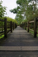 Wooden Pathway at Kawah Sikidang Dieng Plateau Indonesia for Travel and Landscape Photography
