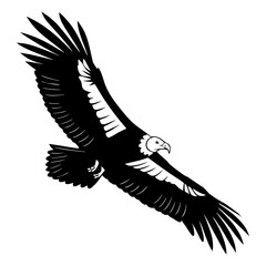 california-condor-vector