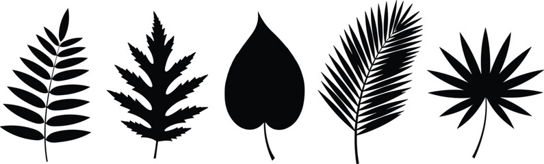 Leaf silhouette set, botanical shapes, black and white, plant illustration, nature design, foliage icons, diverse leaves, isolated vector, minimal style, educational use