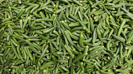 Close up shot of fresh green okra piled together showing texture freshness and organic farming concept