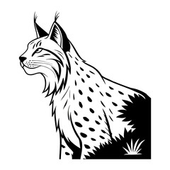 canada-lynx-vector