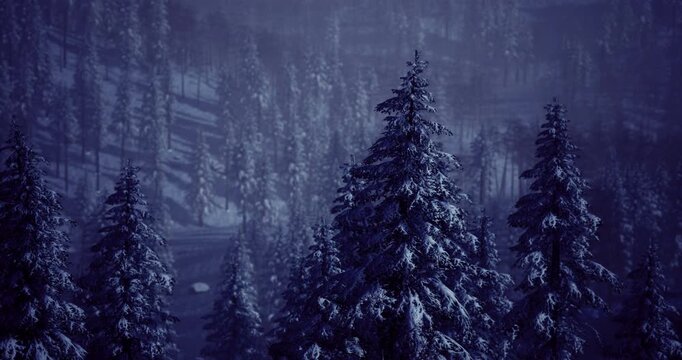 Majestic evergreen trees stand tall in a serene winter forest, their branches heavy with fresh snow under a twilight sky. The quiet atmosphere hints at a peaceful, chilly evening.