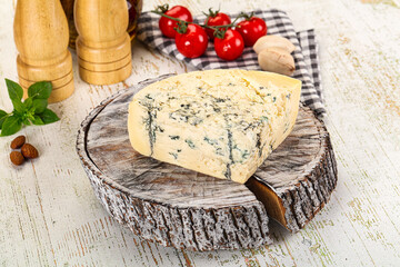Gourmet blue cheese with mold