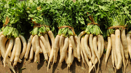 Fresh white radishes with green leaves displayed on roadside market for sale showing organic farm produce