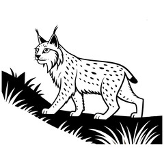canada-lynx-vector