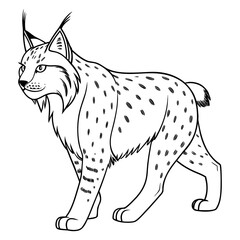 canada-lynx-vector