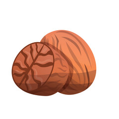 Two brown nutmeg seeds with visible striations and natural texture isolated on white background detailed pixel art illustration with warm orange and brown tones