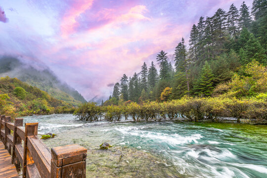 Misty forest morning along a wooden boardwalk beside a turquoise mountain river in Jiuzhaigou National Park, Sichuan, China. Tranquil autumn landscape under pastel pink sunrise skies. - Powered by Adobe