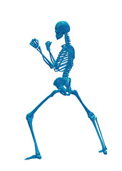 3d rendered illustration of a skeleton