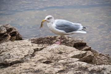 Bruce Peninsula National Park Canada, Cliffs and Crystal Clear Georgian Bay Waters