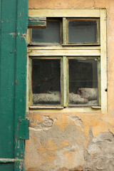 An old wooden window with dirty panes and peeling plaster on the old facade of a house. Architecture, city, neglect.