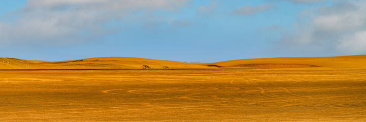 Obraz premium Le désert du Namib