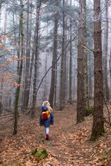 Petite fille se promenant dans une for&ecirc;t en automne/hiver
