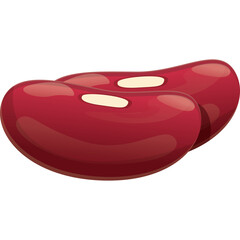 Two Red Kidney Beans Isolated on a White Background with Smooth Glossy Texture and Natural Shape