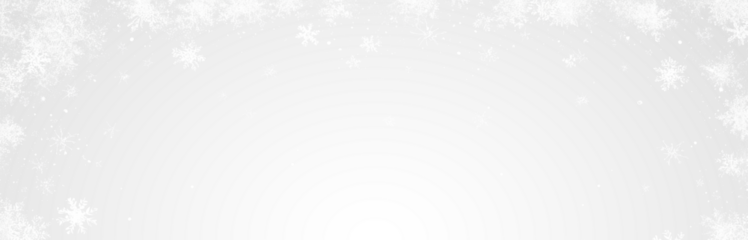 PNG frost snowflake vertical border frame isolated on transparent background for winter holiday Christmas decoration pattern design
