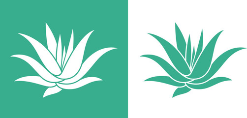 Agave logo. Isolated agave on white background