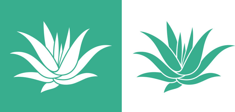 Agave logo. Isolated agave on white background