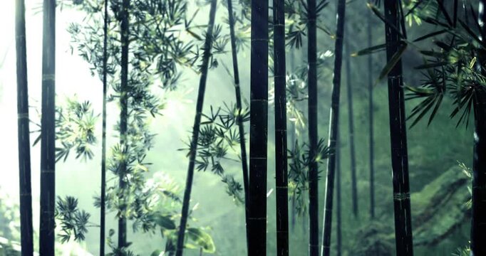 In a serene bamboo forest, soft light filters through the tall, slender stalks. The misty air enhances the magical ambiance, inviting peace and contemplation among nature&rsquo;s beauty.