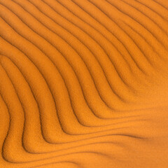 Waves of orange sand flow across the desert