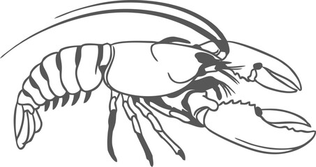Lobster Line Art Tattoo Design with Minimal Black Ink
