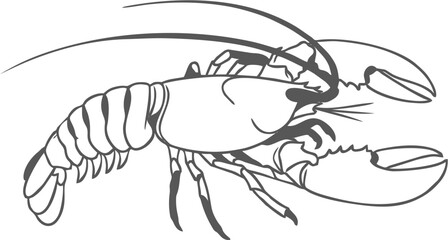 flat outlined lobster logo, monochrome black and white