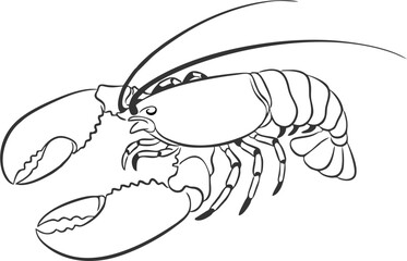 Minimal Line Art Lobster Tattoo Illustration.