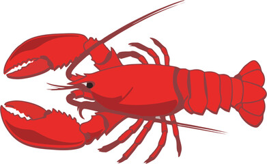 clean monoline lobster icon, elegant minimal style, smooth vector path