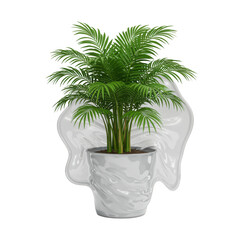 Obraz premium Green potted plant in a white skull shaped pot isolated on transparent background