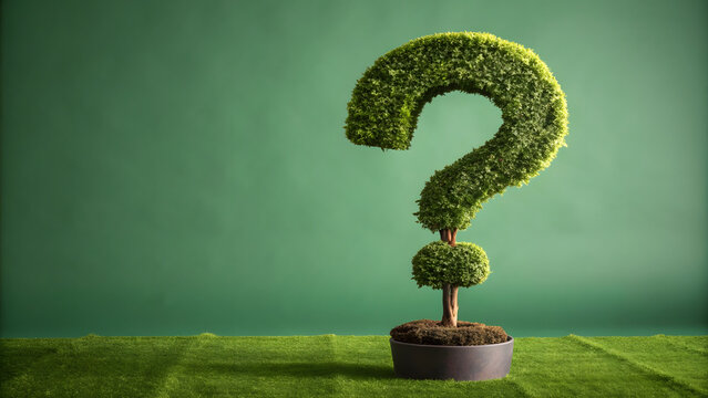 Creative green topiary shaped as a question mark symbol in a flower pot on grass against a studio green background