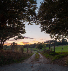 Path in the Lugo Mountains, Galicia, Spain. This region in northwestern Spain is teeming with stunning and uncrowded hiking trails