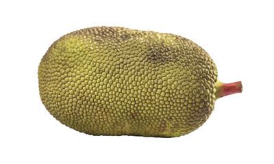 jackfruit isolated on white background.