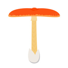 たまごたけの主線無しイラスト