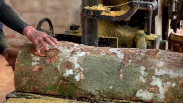 Cutting Wood With a Chainsaw