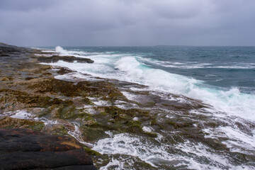 Russia, Murmansk Oblast, Rybachy Peninsula. Barents Sea coast, Orange Rocks Coast. August 2025