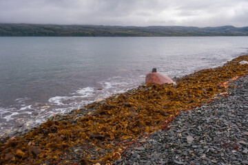 Russia, Murmansk Oblast, Rybachy Peninsula. Barents Sea coast. August 2025