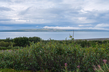 Russia, Murmansk region, Rybachy Peninsula and the Barents Sea. August 2025