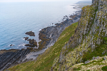 Russia, Murmansk region, Rybachy Peninsula, Cape Skorobeyevsky. Barents Sea. August 2025