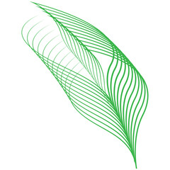 Elegant Green Leaf Design