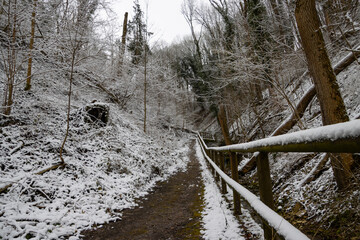 Snow Covered Forest Path with Wooden Fence in Winter Landscape