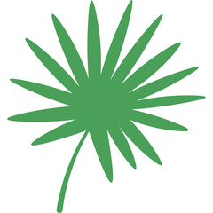 Green Palm Leaf Silhouette Isolated on White Background Simple Tropical Plant Design Element