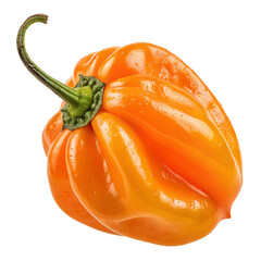 Habanero pepper PNG (transparent)