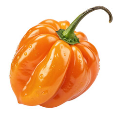 Habanero pepper PNG (transparent)