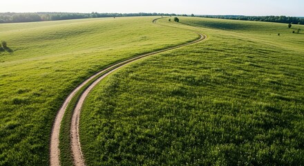 Winding Dirt Road Through Lush Green Grassy Field on a Sunny Day.