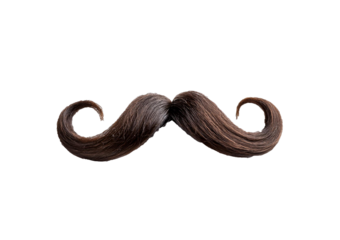 Curly moustache isolated on transparent or white background