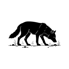 Vector art of wolf sniffing the ground vector illustration