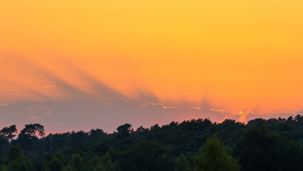 Golden sunbeams pierce the evening sky