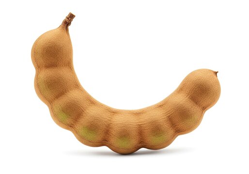 Isolated Tamarind Fruit Pod on a White Background for Healthy Consumption and Culinary Use